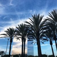 Motivation's client: Luxury travel agent from Irvine - US